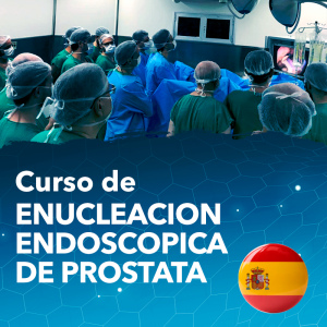 Curso de Enucleacion Endoscopica de Prostata – Español