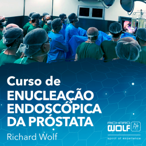 Curso de Enucleação Endoscópica da Próstata – RICHARD WOLF